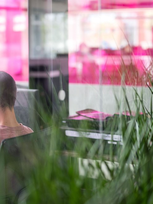 Data Roundup november 2022