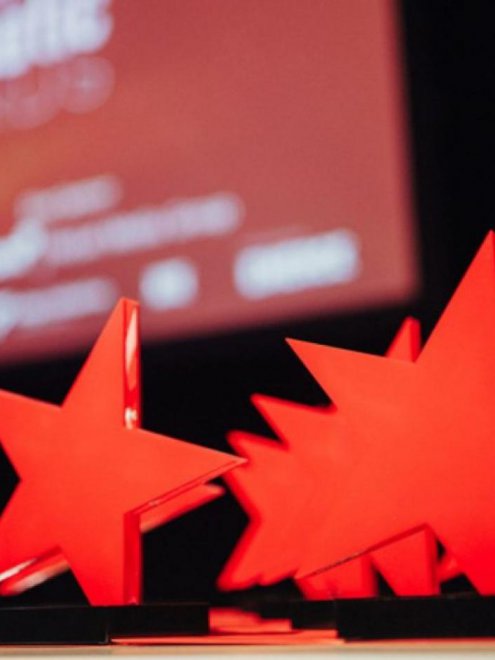 Adwise wint VIA Programmatic Award